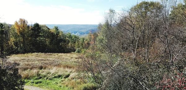 Scenic view of land against sky