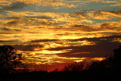 Silhouette trees against dramatic sky during sunset