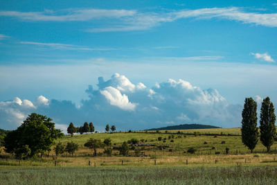 Panoramic view of landscape against sky