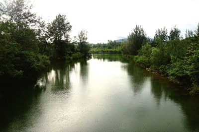 Scenic view of lake in forest against clear sky