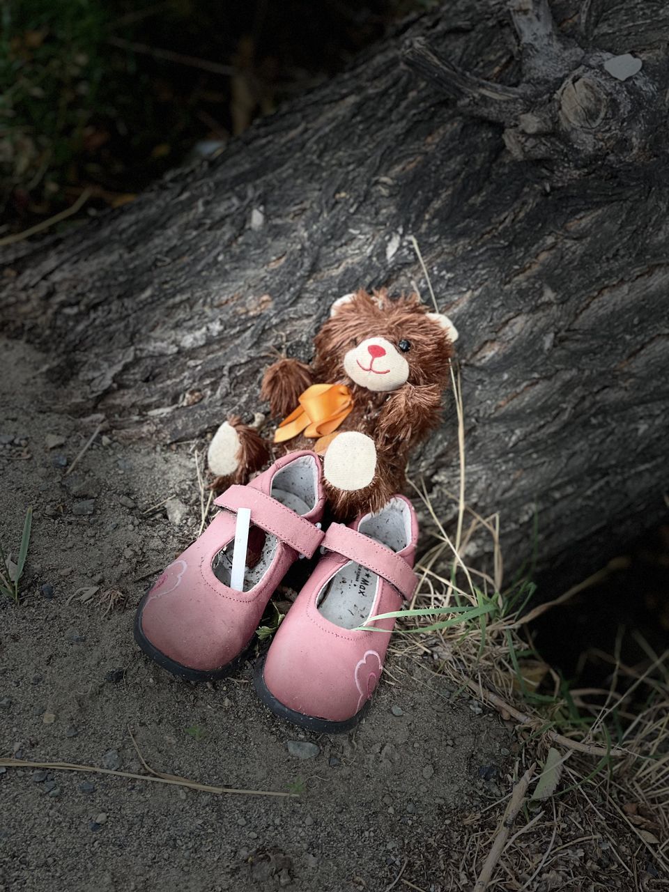 HIGH ANGLE VIEW OF STUFFED TOY ON TREE