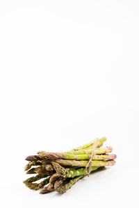 Close-up of bread against white background