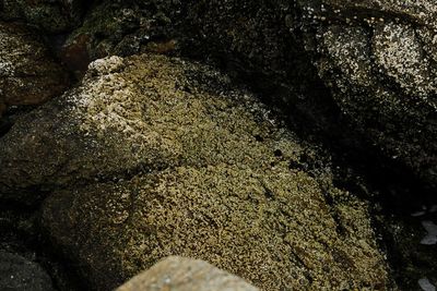 Full frame shot of pebbles on sand at beach