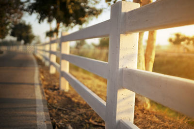 White concrete fence with path way