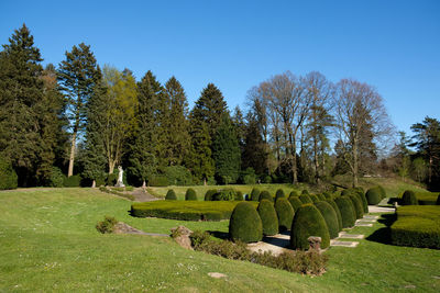 Panoramic view of trees on field against clear sky