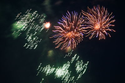 Fireworks exploding in night sky