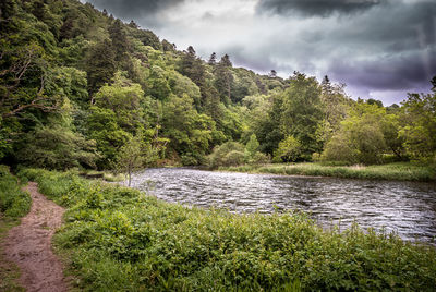 Scenic view of river by trees against sky