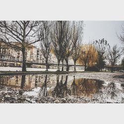 Bare trees by lake against sky during winter