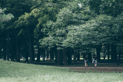 Man standing in park