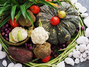 High angle view of tomatoes