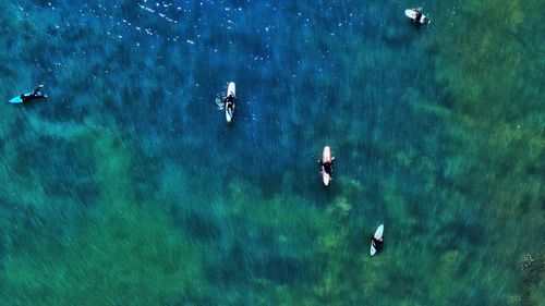 High angle view of people swimming in water