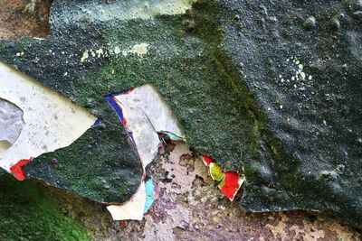 High angle view of multi colored rocks