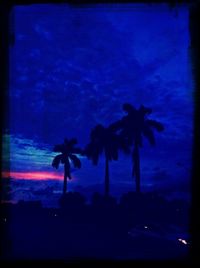 Palm trees against blue sky