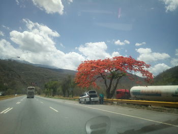 Road by trees against sky seen through car windshield