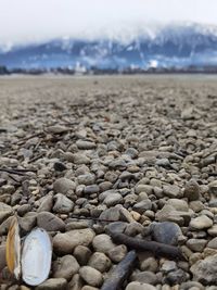 Surface level of stones on beach