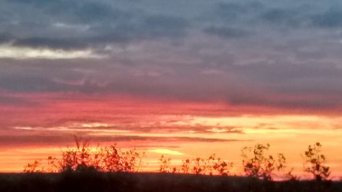 Silhouette of bare tree against dramatic sky