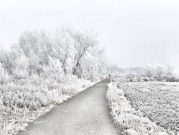 Road amidst trees against sky during winter