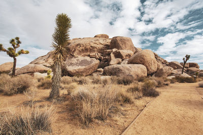 Rock formations on field against sky