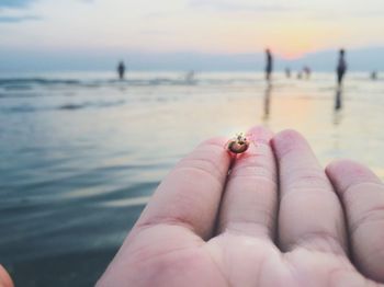 Cropped image of hand holding crab at beach
