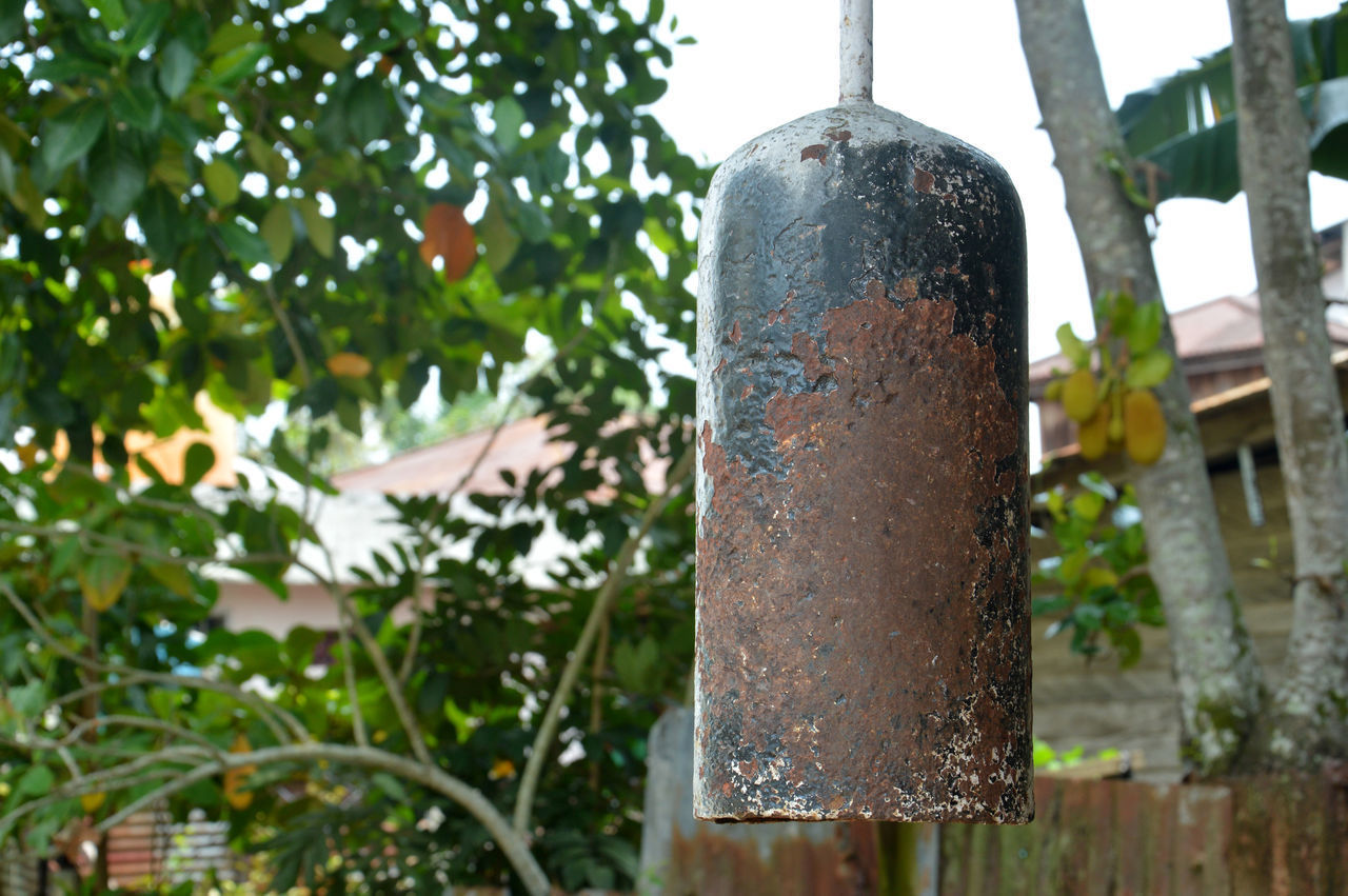 LOW ANGLE VIEW OF RUSTY HANGING ON TREE TRUNK