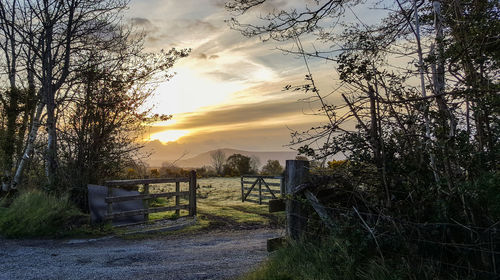 Scenic view of field against sky at sunset