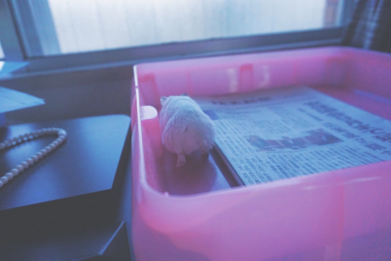 indoors, table, glass - material, close-up, window, transparent, home interior, still life, reflection, no people, focus on foreground, selective focus, glass, vehicle interior, book, chair, high angle view, pink color, absence, car