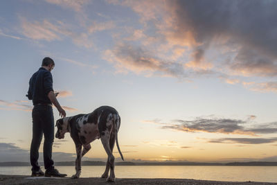 Full length of a horse standing on beach