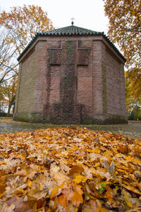 Leaves fallen on tree by building against sky during autumn