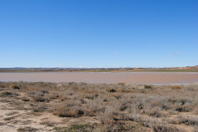 Scenic view of field against clear blue sky