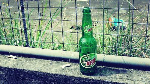 Close-up side view of a horse