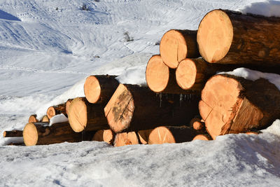 Close-up of logs