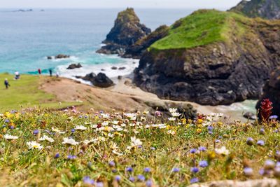 Scenic view of sea and rocks