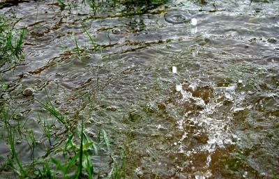 Full frame shot of rippled water