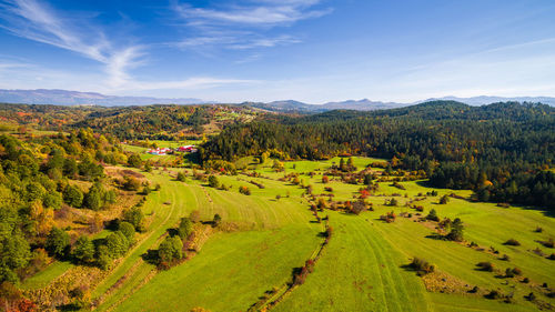 Scenic view of agricultural field against sky