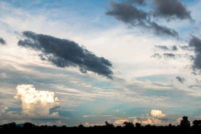 Low angle view of trees against sky