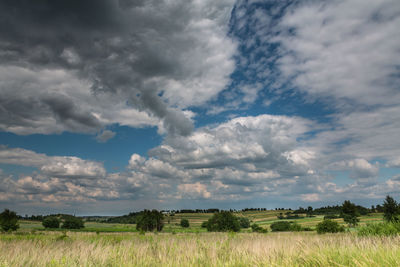 Scenic view of field against sky