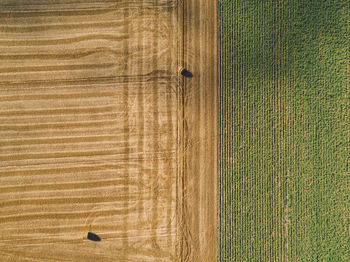 Directly above aerial shot of hay bales on agricultural field