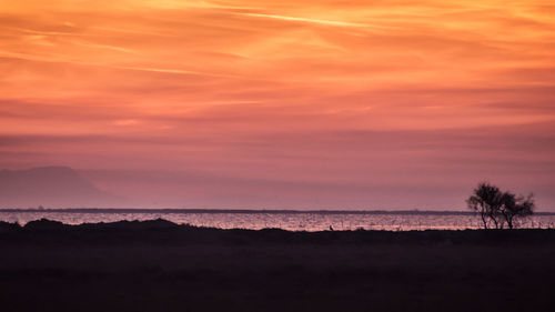 Scenic view of sea at sunset