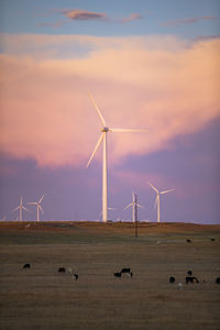 Colorado wind farm located on a wheat field during sunrise