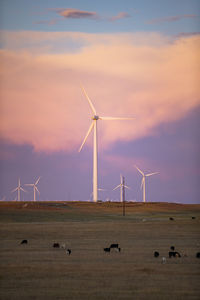 Windmills on field against sky at sunset