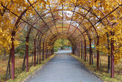 Footpath amidst trees in park during autumn