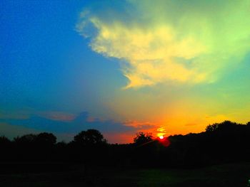 Silhouette of trees at sunset