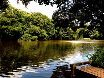 Reflection of trees in lake