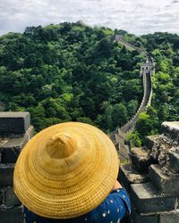 High angle view of person by trees