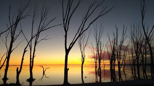 Night falls over epecuen's lagoon.