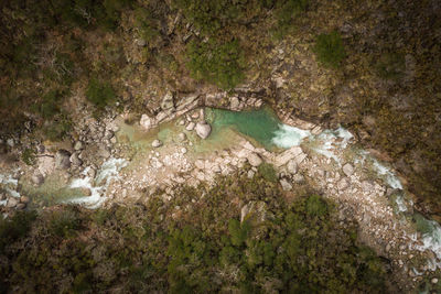 High angle view of bird on rock by water