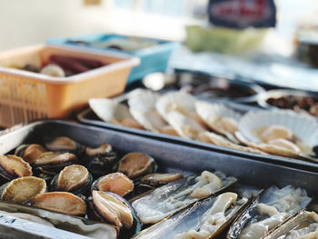 Close-up of seafood for sale at market stall