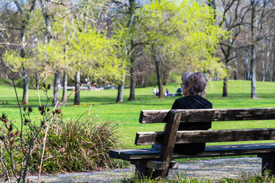 Rear view of woman sitting on bench