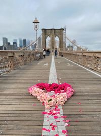 Pink flowers on bridge
