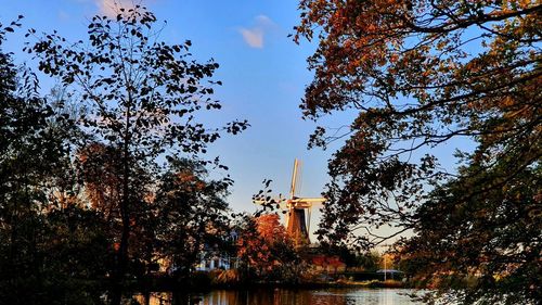 Low angle view of trees and buildings against sky